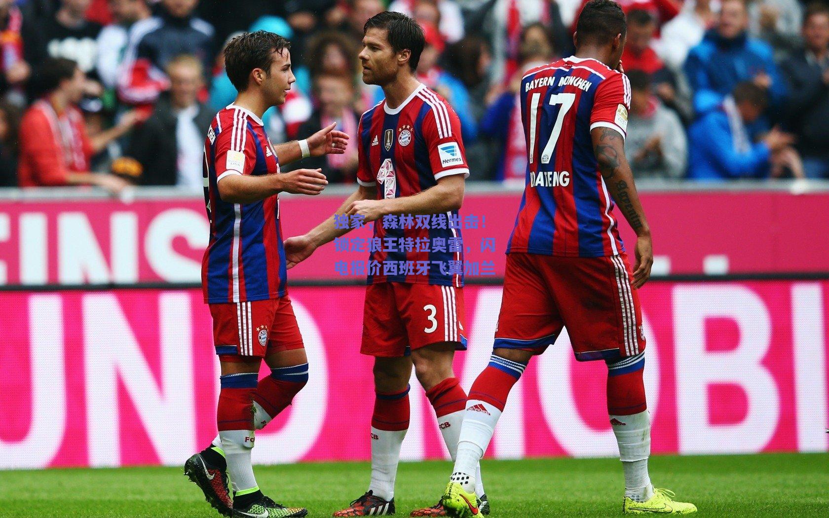 独家，森林双线出击！锁定狼王特拉奥雷，闪电报价西班牙飞翼加兰