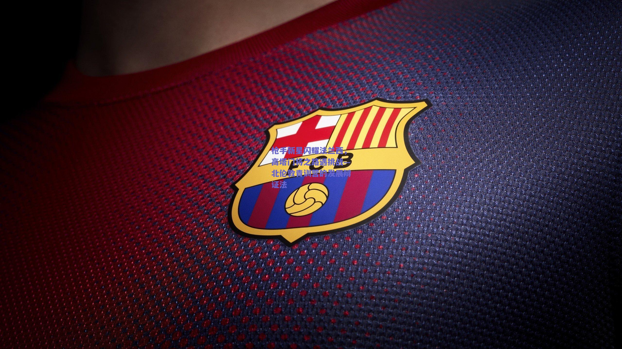 竞技宝平台|枪手新星闪耀法兰西，高塔门将之路遇挑战—北伦敦青训营的发展辩证法